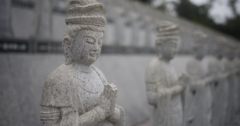 Plongée dans la culture et les traditions du Japon : un voyage fascinant